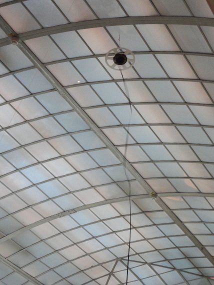 Performance Nikolai Vogel