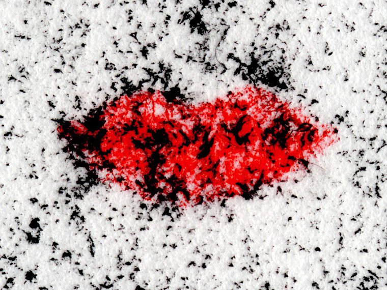 Nikolai Vogel: Looking Into The Gaze Of Nefertiti (Detail), Pastell auf Papier, 22,7 x 30,5cm (c) Nikolai Vogel / VG Bild-Kunst, Bonn 2015